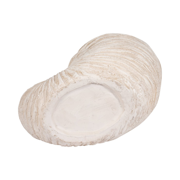 18-shell-sculpture-ivory-8