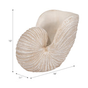 18-shell-sculpture-ivory-9