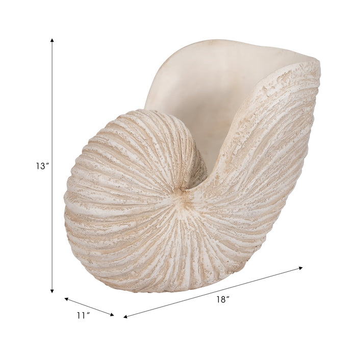 18-shell-sculpture-ivory-9