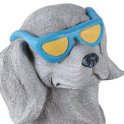 18x14-beach-dog-grey-multi-5