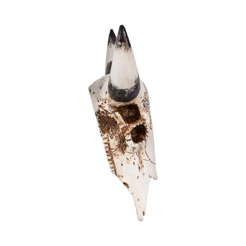 19-western-bull-skull-brown-3