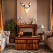 19-western-bull-skull-brown-8