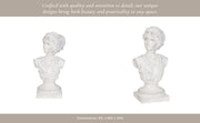 20-venus-bust-distressed-resin-white-12