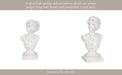 20-venus-bust-distressed-resin-white-12