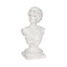 20-venus-bust-distressed-resin-white-2