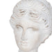 20-venus-bust-distressed-resin-white-5