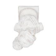 20-venus-bust-distressed-resin-white-6