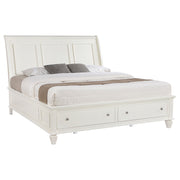 Sandy Beach Panel Platform Storage Bed - Furniture City (CA)l