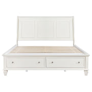 Sandy Beach Panel Platform Storage Bed - Furniture City (CA)l