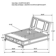Sandy Beach Panel Platform Storage Bed - Furniture City (CA)l