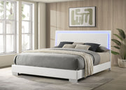 Felicity Panel Bed with LED Lighting - Furniture City (CA)l