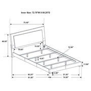 Felicity Panel Bed with LED Lighting - Furniture City (CA)l