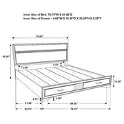 Miranda Panel Platform Storage Bed - Furniture City (CA)l