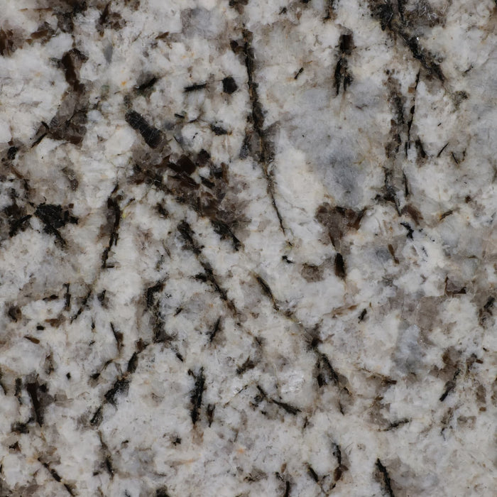 20x12-marble-pedestal-accent-table-white-black-8