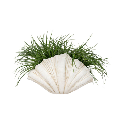 22-scallop-shell-decor-white-2