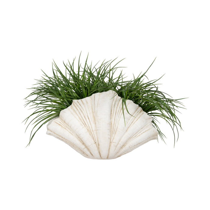 22-scallop-shell-decor-white-2