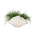 22-scallop-shell-decor-white-2