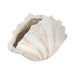 22-scallop-shell-decor-white-3