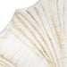 22-scallop-shell-decor-white-5