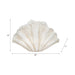 22-scallop-shell-decor-white-8