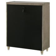 Lorient Chest of Drawers with LED Lighting - Furniture City (CA)l