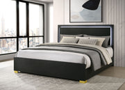Marceline Panel Bed with LED Lighting - Furniture City (CA)l