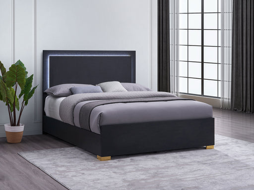 Marceline Panel Bed with LED Lighting - Furniture City (CA)l