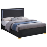 Marceline Panel Bed with LED Lighting - Furniture City (CA)l