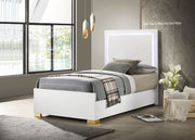Marceline Panel Bed with LED Lighting - Furniture City (CA)l