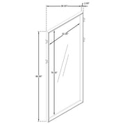 Durango Floor Mirror - Furniture City (CA)l