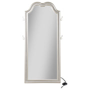 Evangeline Floor Mirror with LED Lighting - Furniture City (CA)l