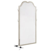 Evangeline Floor Mirror with LED Lighting - Furniture City (CA)l