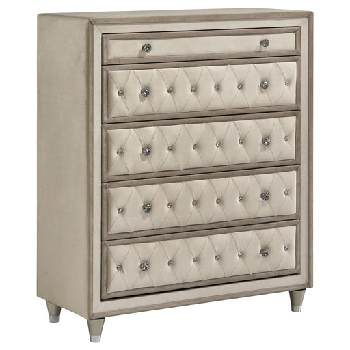 Antonella Chest of Drawers - Furniture City (CA)l