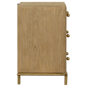 Arini Nightstand - Furniture City (CA)l