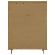Arini Chest of Drawers - Furniture City (CA)l