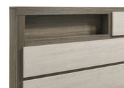 Fenwick Bookcase Platform Bed - Furniture City (CA)l