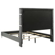 Lucia Wingback Bed - Furniture City (CA)l