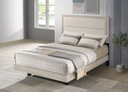 Trenton Panel Bed - Furniture City (CA)l