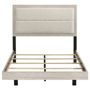Trenton Panel Bed - Furniture City (CA)l