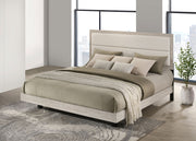 Trenton Panel Bed - Furniture City (CA)l