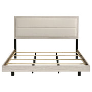 Trenton Panel Bed - Furniture City (CA)l