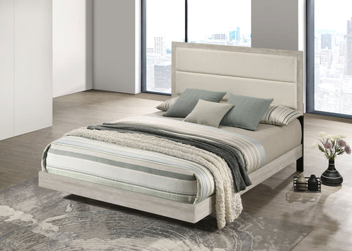 Trenton Panel Bed - Furniture City (CA)l