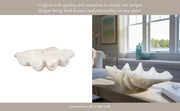 25-pearlized-clam-shell-bowl-ivory-11