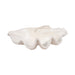 25-pearlized-clam-shell-bowl-ivory-1