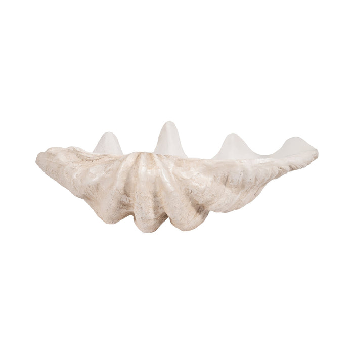 25-pearlized-clam-shell-bowl-ivory-4