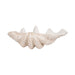 25-pearlized-clam-shell-bowl-ivory-4