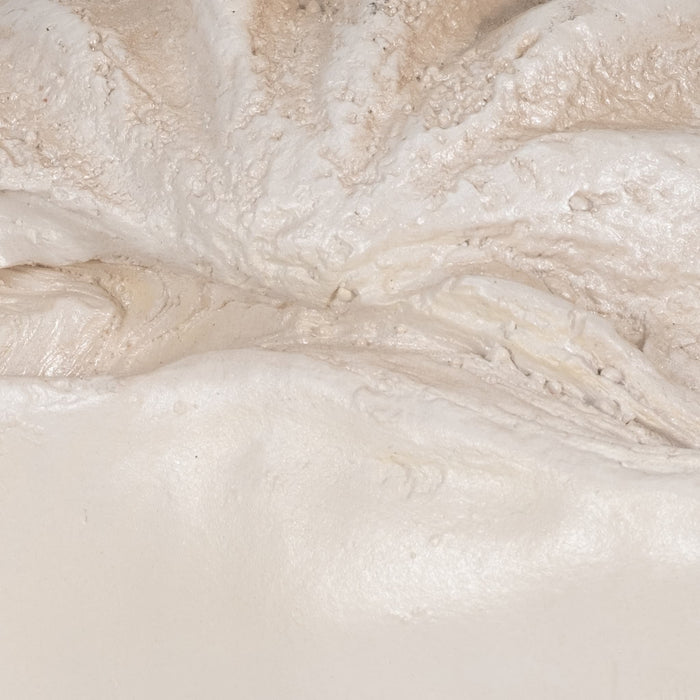 25-pearlized-clam-shell-bowl-ivory-5