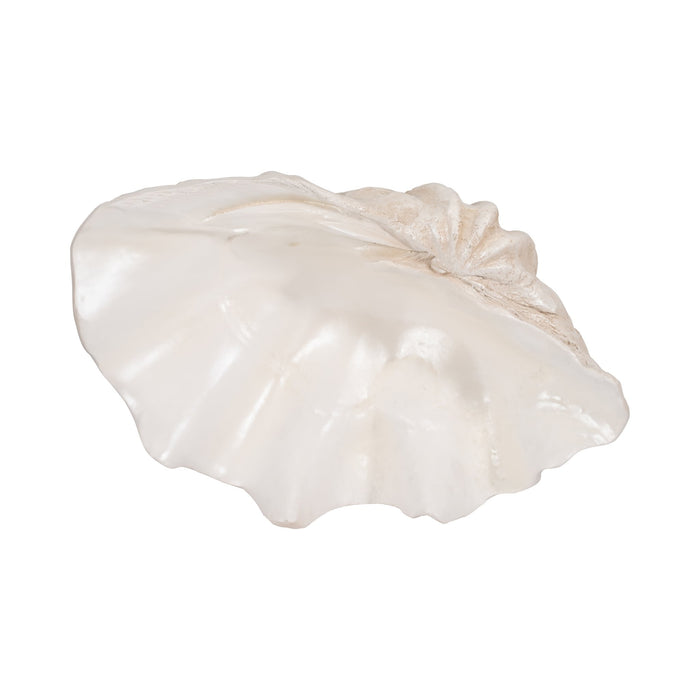 25-pearlized-clam-shell-bowl-ivory-6
