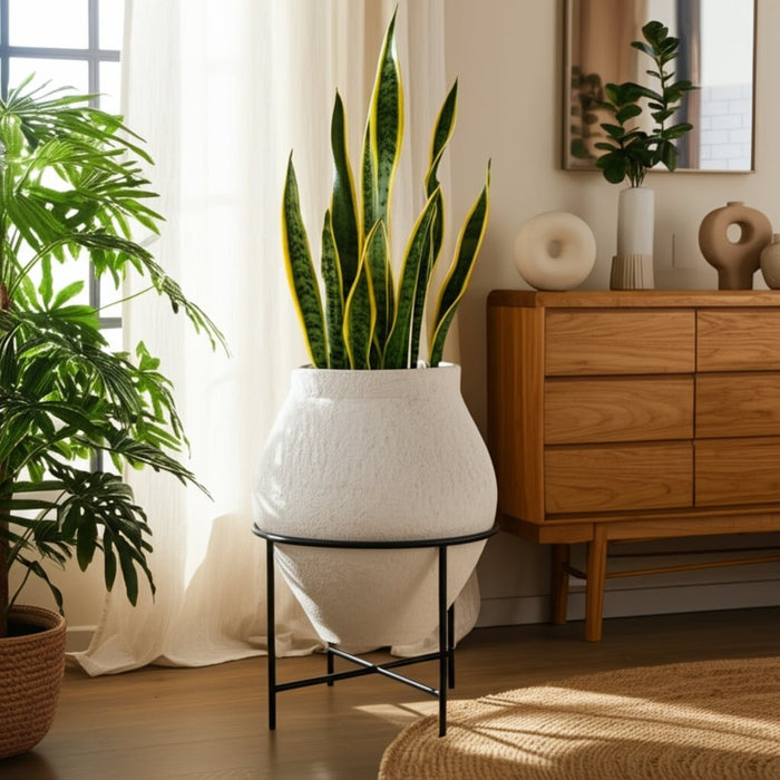 27x18-terracotta-pot-in-metal-stand-ivory-black-11