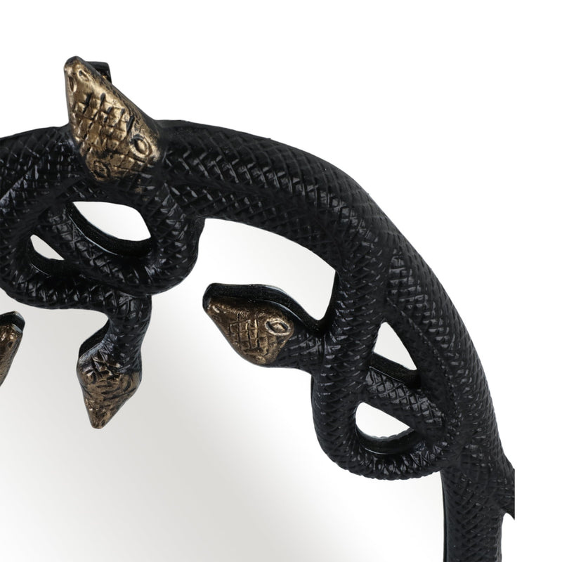 28x22-snake-mirror-blk-gld-5